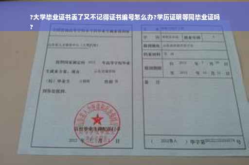 ?大学毕业证书丢了又不记得证书编号怎么办?学历证明等同毕业证吗
?