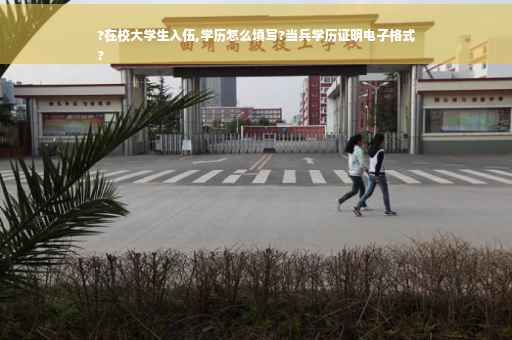 ?在校大学生入伍,学历怎么填写?当兵学历证明电子格式
?
