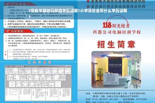 ?没有学籍如何获得学历证明?小学没毕业写什么学历证明
?
