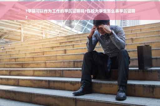 ?学籍可以作为工作的学历证明吗?在校大学生怎么弄学历证明
?