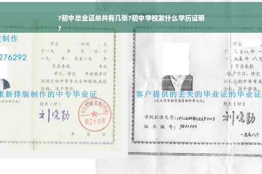 ?初中毕业证总共有几张?初中学校发什么学历证明
?