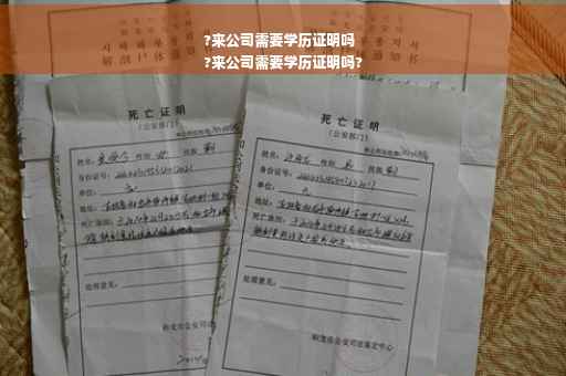 ?来公司需要学历证明吗
?来公司需要学历证明吗?