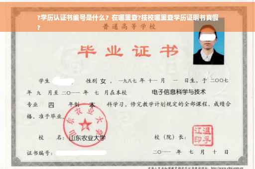 ?学历认证书编号是什么？在哪里查?技校哪里查学历证明书真假
?
