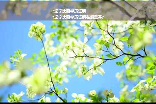 ?辽宁沈阳学历证明
?辽宁沈阳学历证明在哪里开?