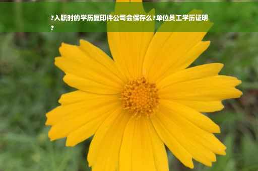 ?入职时的学历复印件公司会保存么?单位员工学历证明
?