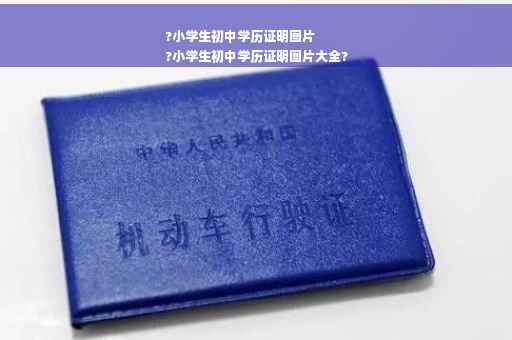 ?小学生初中学历证明图片
?小学生初中学历证明图片大全?