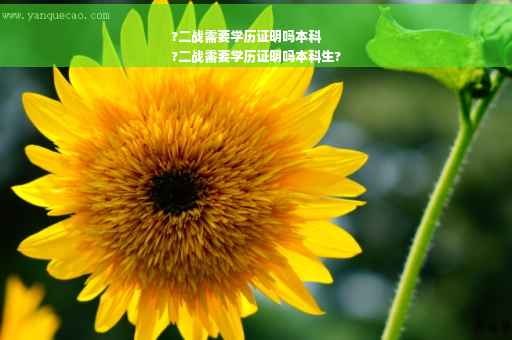 ?二战需要学历证明吗本科
?二战需要学历证明吗本科生?