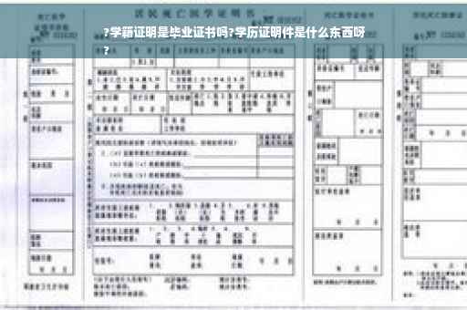 ?学籍证明是毕业证书吗?学历证明件是什么东西呀
?
