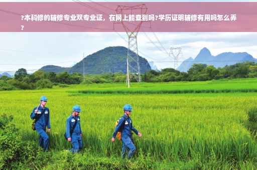 ?本科修的辅修专业双专业证，在网上能查到吗?学历证明辅修有用吗怎么弄
?