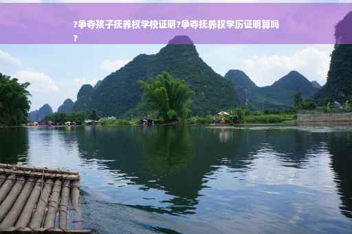 ?争夺孩子抚养权学校证明?争夺抚养权学历证明算吗
?