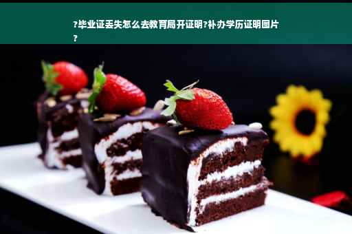 ?毕业证丢失怎么去教育局开证明?补办学历证明图片
?