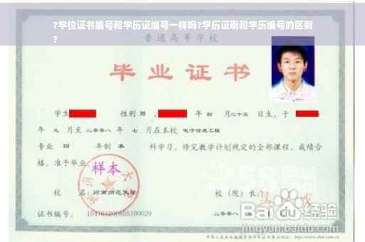 ?学位证书编号和学历证编号一样吗?学历证明和学历编号的区别
?