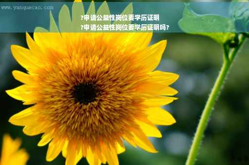 ?申请公益性岗位要学历证明
?申请公益性岗位要学历证明吗?