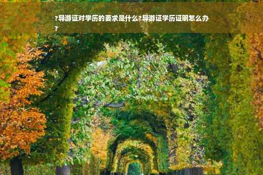 ?导游证对学历的要求是什么?导游证学历证明怎么办
?