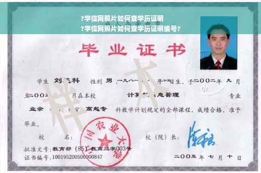 ?学信网照片如何查学历证明
?学信网照片如何查学历证明编号?