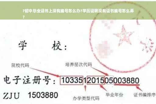 ?初中毕业证书上没有编号怎么办?学历证明没有证书编号怎么弄
?