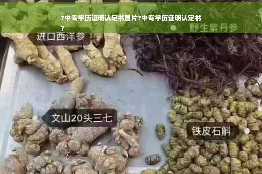 ?中专学历证明认定书图片?中专学历证明认定书
?
