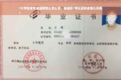 ?大学生未就业证明怎么怎么开，去哪开?学历证明去哪儿开具
?