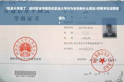 ?职业大学来了，你对职业学院改名职业大学升为本科有什么看法?桦甸学历证明在哪办
?