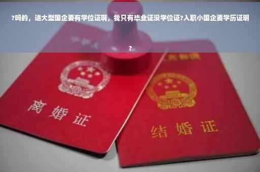 ?吗的，进大型国企要有学位证啊，我只有毕业证没学位证?入职小国企要学历证明
?