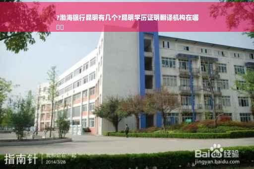 ?渤海银行昆明有几个?昆明学历证明翻译机构在哪
⚡️