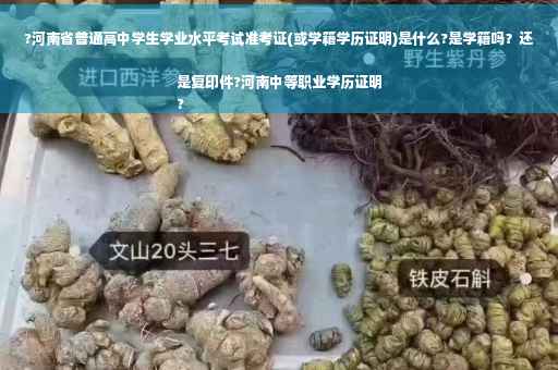 ?河南省普通高中学生学业水平考试准考证(或学籍学历证明)是什么?是学籍吗？还是复印件?河南中等职业学历证明
?