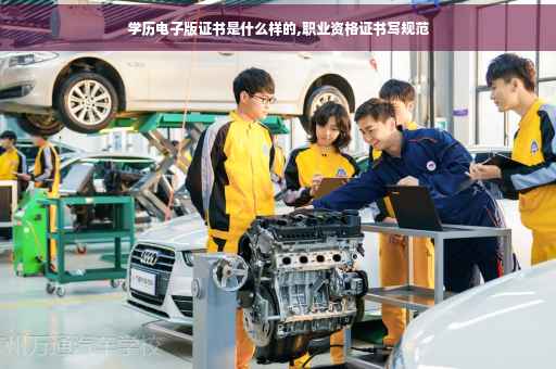 学历电子版证书是什么样的,职业资格证书写规范
