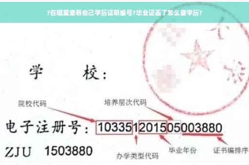 ?在哪里查看自己学历证明编号?毕业证丢了怎么查学历?