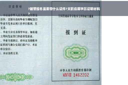 ?辅警报名需要带什么证件?文职应届学历证明材料
?