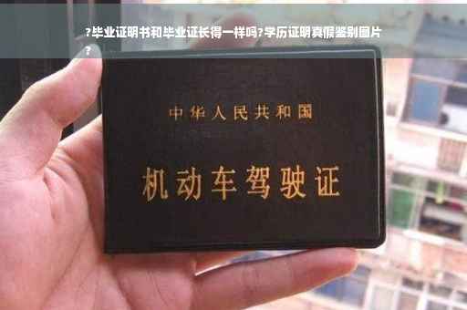 ?毕业证明书和毕业证长得一样吗?学历证明真假鉴别图片
?