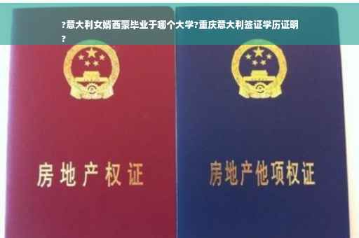 ?意大利女婿西蒙毕业于哪个大学?重庆意大利签证学历证明
?