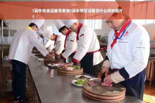 ?高中毕业证编号查询?高中学历证明是什么样的图片
?