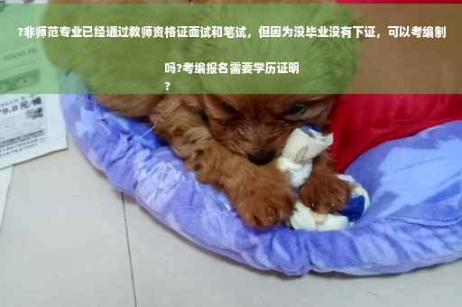 ?非师范专业已经通过教师资格证面试和笔试，但因为没毕业没有下证，可以考编制吗?考编报名需要学历证明
?
