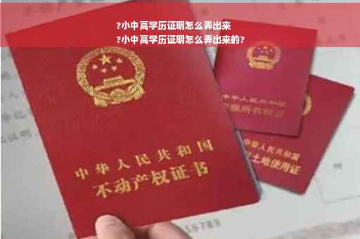 ?小中高学历证明怎么弄出来
?小中高学历证明怎么弄出来的?