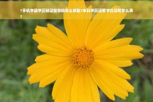 ?手机学籍学历验证报告码怎么获取?本科学历证明学位证明怎么弄
?