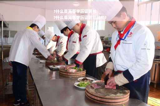 ?什么是高等学历证明书
?什么是高等学历证明书图片?