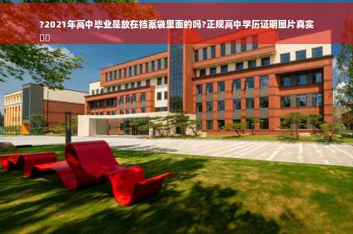 ?2021年高中毕业是放在档案袋里面的吗?正规高中学历证明图片真实
⚡️
