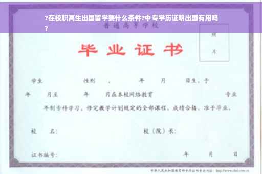 ?在校职高生出国留学要什么条件?中专学历证明出国有用吗
?