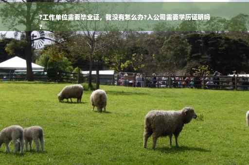 ?工作单位需要毕业证，我没有怎么办?入公司需要学历证明吗
?