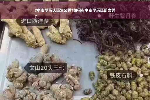 ?中专学历认证怎么弄?如何有中专学历证明文凭
?