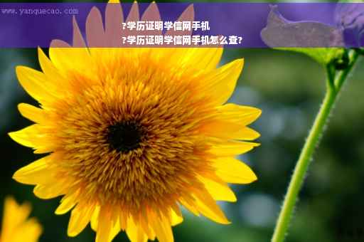 ?学历证明学信网手机
?学历证明学信网手机怎么查?