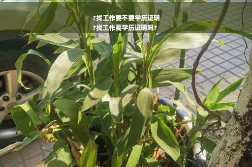 ?找工作要不要学历证明
?找工作要学历证明吗?