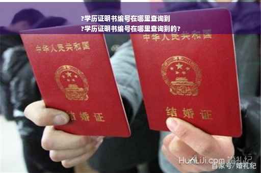 ?学历证明书编号在哪里查询到
?学历证明书编号在哪里查询到的?