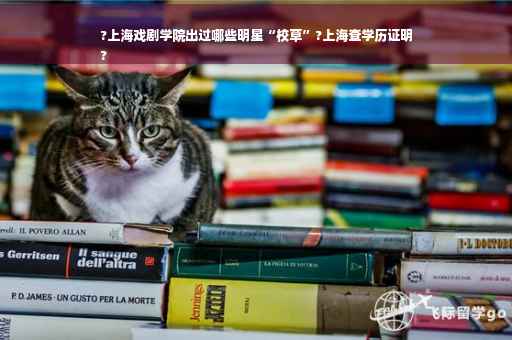?上海戏剧学院出过哪些明星“校草”?上海查学历证明
?
