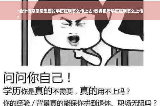 ?会计信息采集里面的学历证明怎么传上去?教资报考学历证明怎么上传
?