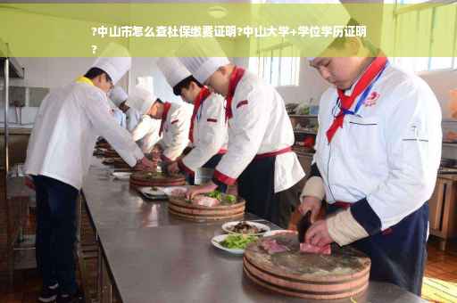?中山市怎么查社保缴费证明?中山大学+学位学历证明
?