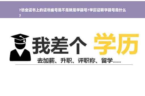 ?毕业证书上的证书编号是不是就是学籍号?学历证明学籍号是什么
?