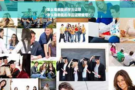 ?怎么查看我的学历证明
?怎么查看我的学历证明编号?