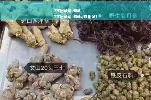 ?学历证明 出国
?学历证明 出国可以用吗?