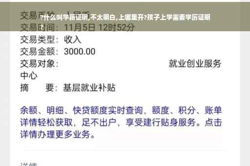 ?什么叫学籍证明,不太明白,上哪里开?孩子上学需要学历证明
?